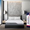 Primerest Lux Queen, 13.5" Hybrid Latex Like Feel, Ventilated Charcoal Memory Foam with Ice Feel Cooling Knitted Fabric, Plush Comfort and Individuall