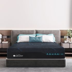 Presidential Lux King, 14" Silkfoam Technology, Charcoal Memory Foam with Ice Feel Cooling Knitted Fabric, Plush Comfort and Individual Pocket Coil Su
