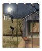 "Sleepy Hollow Bridge" By Artisan Billy Jacobs, Printed on Wooden Picket Fence Wall Art - as Pic