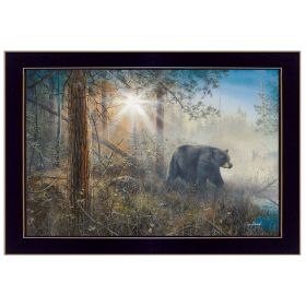 "Shadow in the Mist" By Jim Hansen, Printed Wall Art, Ready To Hang Framed Poster, Black Frame - as Pic