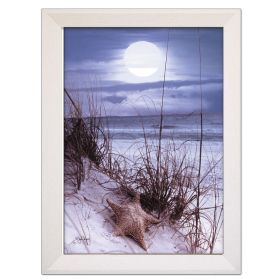 "The Seashore" By John Jones, Printed Wall Art, Ready To Hang Framed Poster, White Frame - as Pic