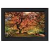 "First Colors of Fall I" by Moises Levy, Ready to Hang Framed Print, Black Frame - as Pic