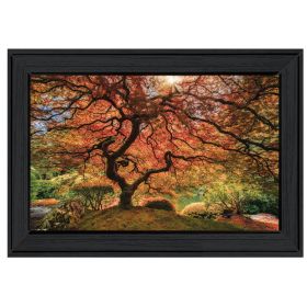 "First Colors of Fall I" by Moises Levy, Ready to Hang Framed Print, Black Frame - as Pic
