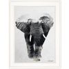 "Elephant Walk" by Andreas Lie, Ready to Hang Framed Print, White Frame - as Pic
