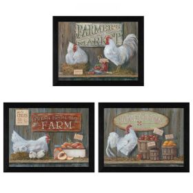 "Farmers Market Collection" 3-Piece Vignette By Pam Britton, Printed Wall Art, Ready To Hang Framed Poster, Black Frame - as Pic
