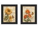 "Flowers Collection" 2-Piece Vignette By Ed Wargo, Printed Wall Art, Ready To Hang Framed Poster, Black Frame - as Pic