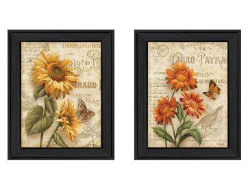 "Flowers Collection" 2-Piece Vignette By Ed Wargo, Printed Wall Art, Ready To Hang Framed Poster, Black Frame - as Pic