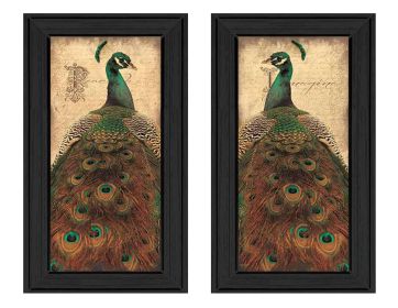 "Peacock Collection" 2-Piece Vignette By John Jones, Printed Wall Art, Ready To Hang Framed Poster, Black Frame - as Pic