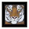 "Tiger Gaze" by Britt Hallowell, Ready to Hang Framed Print, Black Frame - as Pic