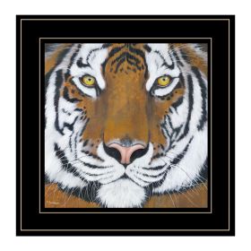 "Tiger Gaze" by Britt Hallowell, Ready to Hang Framed Print, Black Frame - as Pic