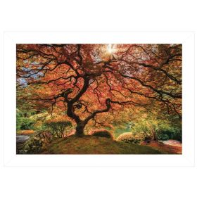 "First Colors of Fall I" by Moises Levy, Ready to Hang Framed Print, White Frame - as Pic