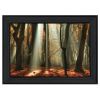 "Beam Me Up" By Martin Podt, Printed Wall Art, Ready To Hang Framed Poster, Black Frame - as Pic
