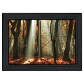 "Beam Me Up" By Martin Podt, Printed Wall Art, Ready To Hang Framed Poster, Black Frame - as Pic