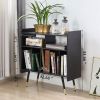 2-Shelf Audio Record Rack with USB interface - as Pic