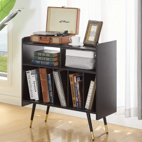 2-Shelf Audio Record Rack with USB interface - as Pic