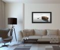 "Solitude" by Moises Levy, Ready to Hang Framed Print, Black Frame - as Pic