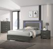 Metallic Gray Color Nightstand Bedroom 1pc Nightstand Solid wood Acrylic Hardware 2-Drawers bedside Table - as Pic