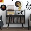 2-Shelf Audio Record Rack with USB interface - as Pic